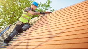 Best Chimney Flashing Repair  in Anoka, MN