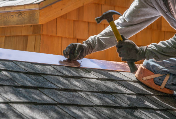 Professional  Roofing repair and installation in Anoka, MN