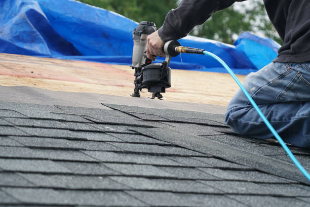 Steel Roofing in Anoka, MN