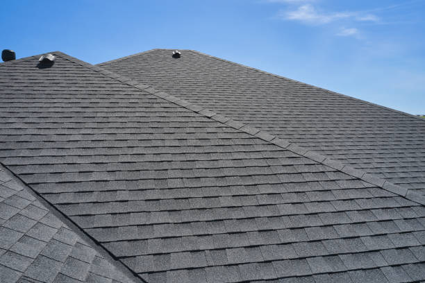 Best Roof Leak Repair  in Anoka, MN