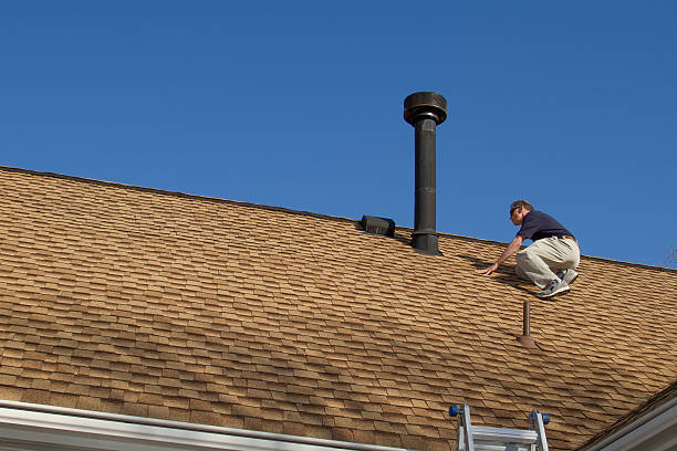 Best Roof Insulation Installation  in Anoka, MN