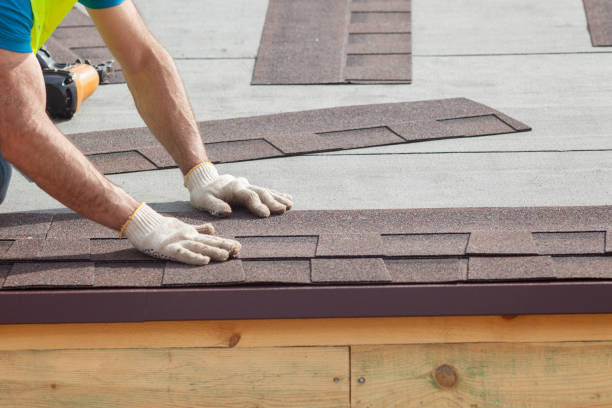 Best Solar Panel Roofing Installation  in Anoka, MN