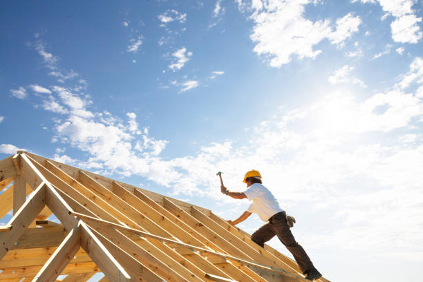 Best Sheet Metal Roofing  in Anoka, MN